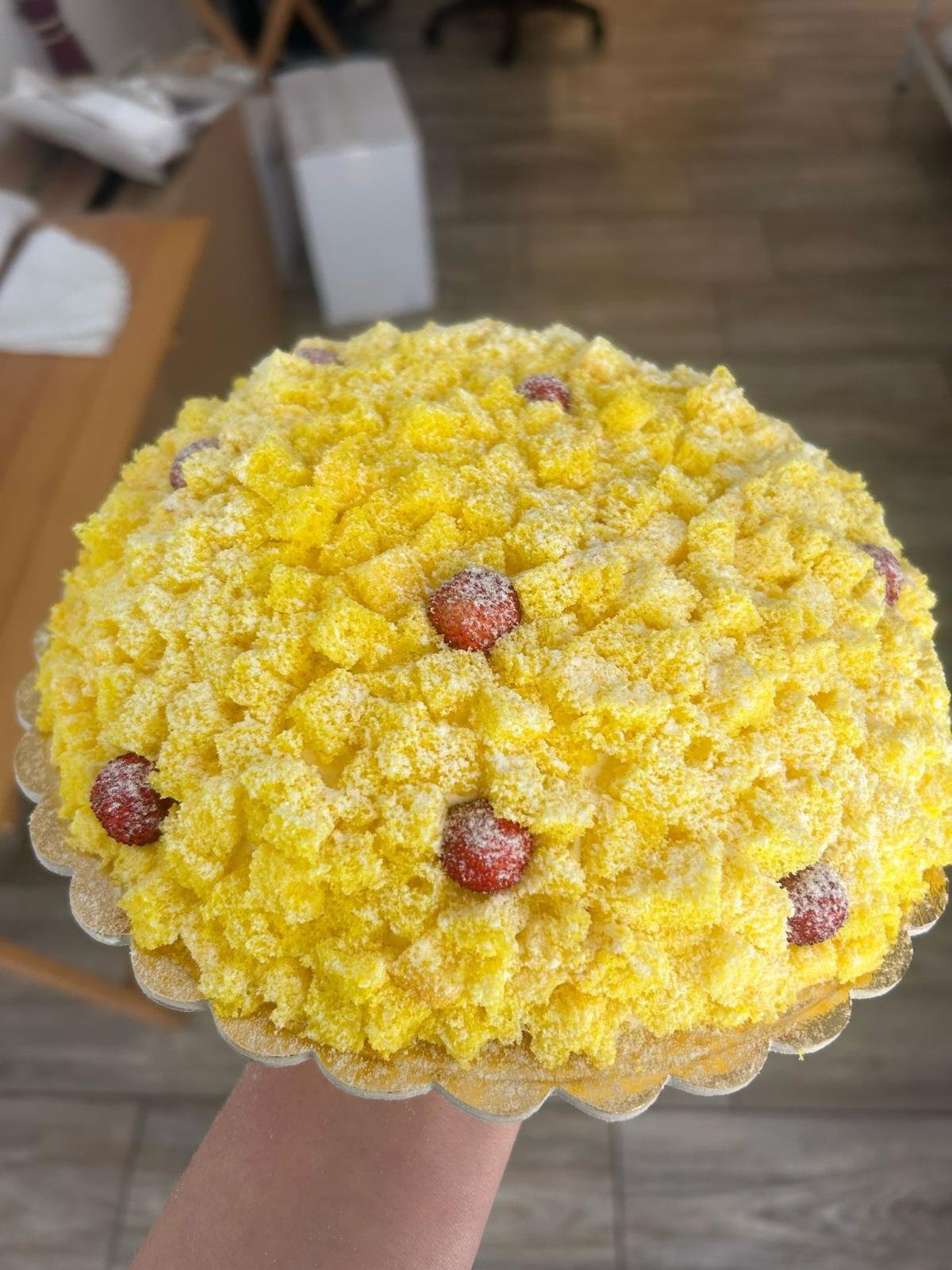 Mimosa_1