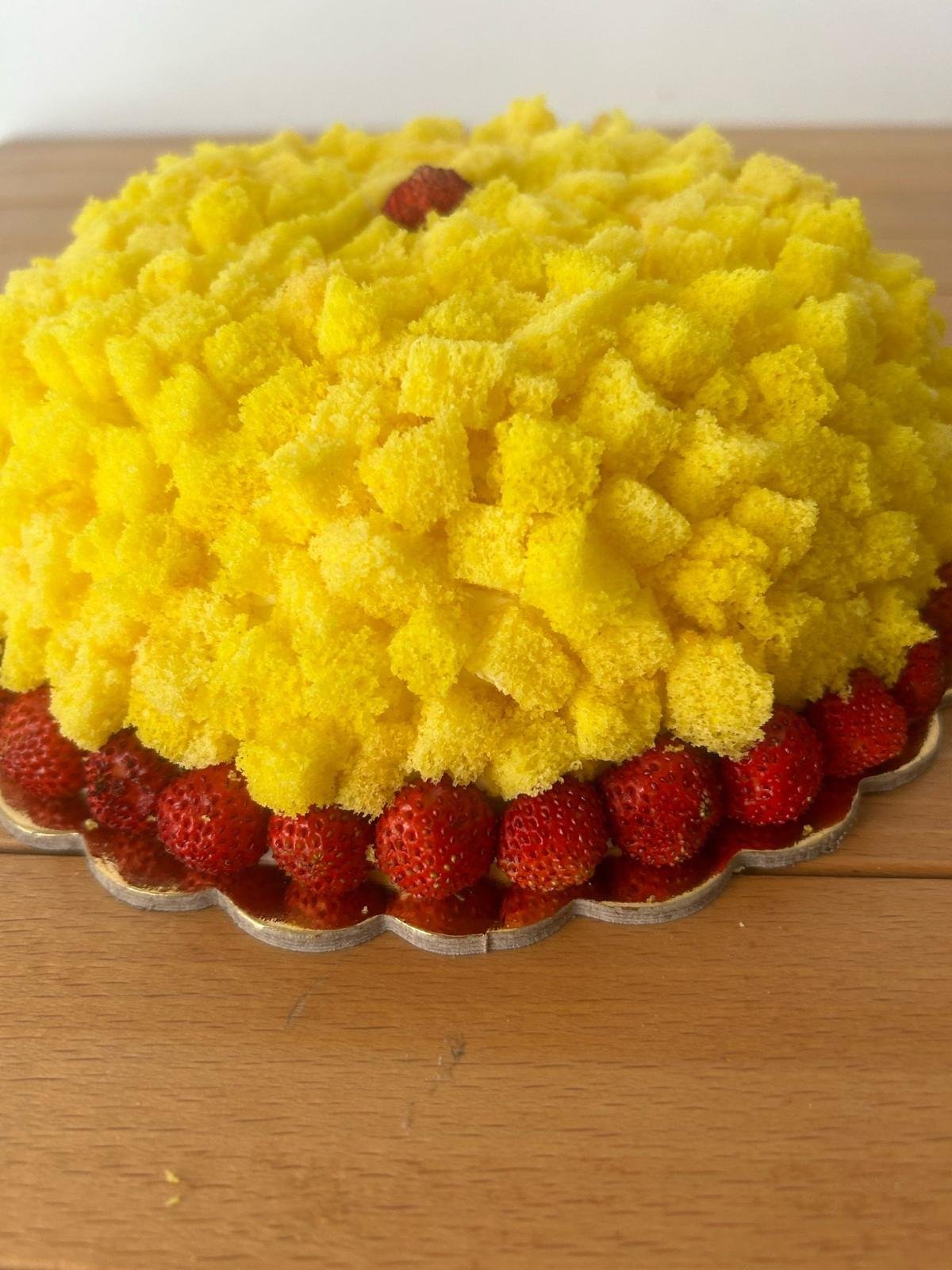 Mimosa_2