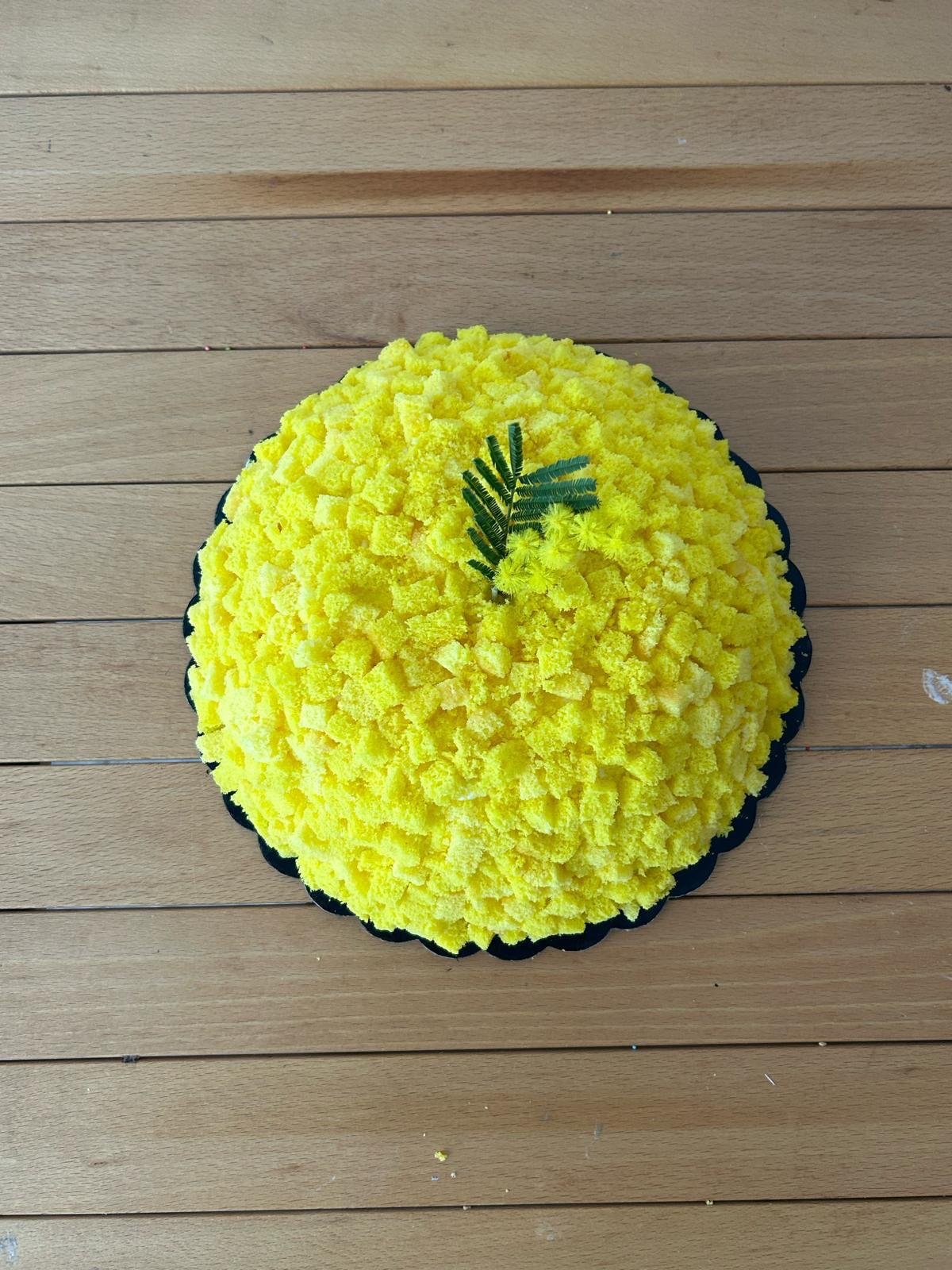 Mimosa_3